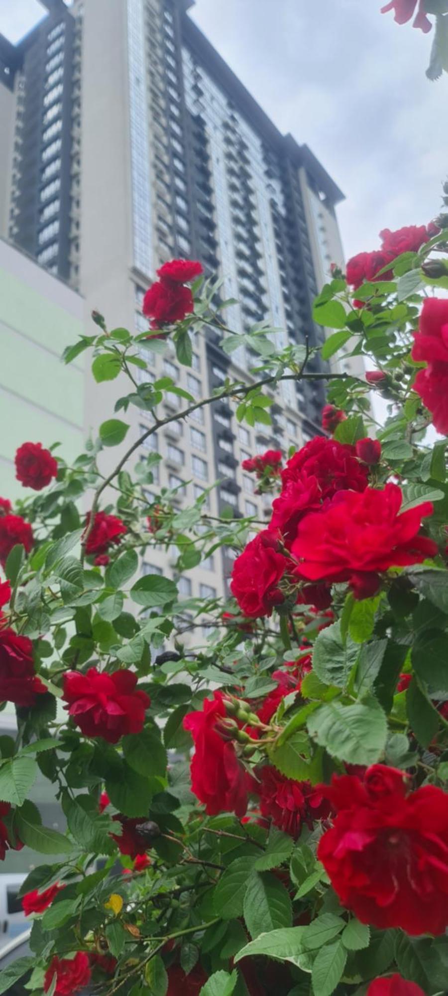 Viktory 5 B, Apartments קייב מראה חיצוני תמונה