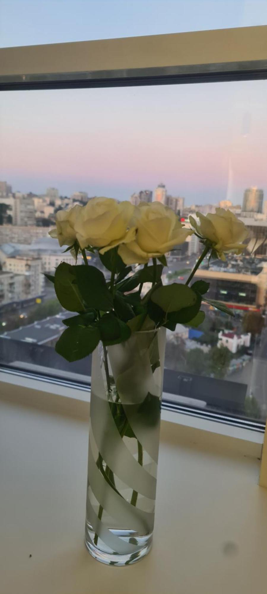 Viktory 5 B, Apartments קייב מראה חיצוני תמונה